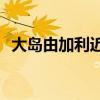 大岛由加利近况(大岛由加利电影全面上映)