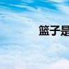 篮子是什么？篮子有哪些类型