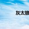 灰太狼语录 灰太狼说过的台词