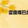 雷霆嘎巴是什么意思 雷霆嘎巴的意思