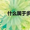 什么属于多媒体功能卡，多媒体使用卡