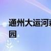 通州大运河森林公园 假期打卡大运河森林公园