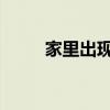 家里出现一只隐翅虫还会有很多吗