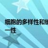 细胞的多样性和统一性 高中生物知识梳理细胞的多样性和统一性