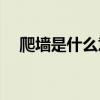 爬墙是什么意思(墙是什么意思网络语言)