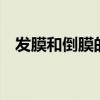 发膜和倒膜的区别 护发素发膜倒膜的区别