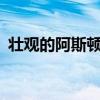 壮观的阿斯顿马丁V12 Speedster首次亮相