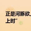 正是河豚欲上时 精讲古诗词之“正是河豚欲上时”