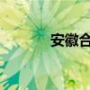 安徽合肥特产有哪些可以带走