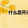 什么是开元盛世 什么是开元盛世简答