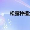 松露种植大全 教你7个步骤种植松露