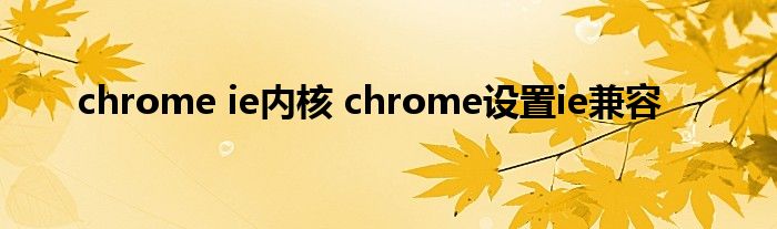 chrome ie内核 chrome设置ie兼容