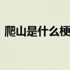 爬山是什么梗  有机会一起去爬山什么意思？