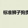 标准狮子狗贵吗(标准狮子狗的特点和价格)