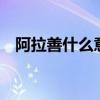 阿拉善什么意思 阿拉善：名称来自贺兰山