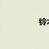铃木天语标准功能如何