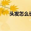 头发怎么长的快 让你的头发长得更快