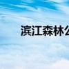 滨江森林公园 松江一日游自由行攻略