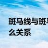 斑马线与斑马有什么关系 斑马线与斑马有什么关系