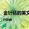 金针菇的英文 金针菇英文名叫seeyoutomorrow