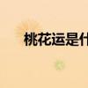 桃花运是什么(一生桃花运缠身的属相)