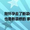 刚怀孕去了新装修的房子怎么办 怀孕的话怎么办 工作地方也是新装修的 家里也是新装修的 怎么活 
