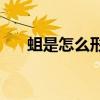蛆是怎么形成的(家里墙上有白色蠕虫)