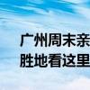 广州周末亲子游去哪里好 广州十大“遛娃”胜地看这里！