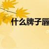 什么牌子唇彩好 唇彩哪个品牌的比较好