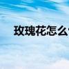 玫瑰花怎么包装 玫瑰花的包法大全图解 