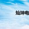 灿坤电炖锅 电炖锅都能做什么