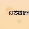 灯芯绒是什么 什么样的灯芯绒面料好