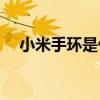小米手环是什么(男生戴小米手环很土吗)