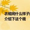 衣帽间什么样子的比较好 哪个品牌的步入式衣帽间好 谁来介绍下这个哦 
