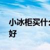 小冰柜买什么牌子 我想知道小冰柜什么品牌好 