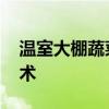 温室大棚蔬菜种植技术 大棚种菜掌握这些技术