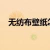 无纺布壁纸怎么样？如何选择无纺布壁纸