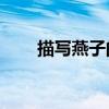 描写燕子的诗句 最美春燕诗词16首 