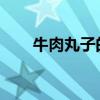 牛肉丸子的做法就是牛肉丸子的做法
