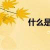 什么是三线仓鼠介绍三线仓鼠