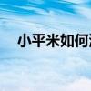 小平米如何满足工作和生活的双重需求? 小平米如何满足工作和生活的双重需求?