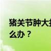 猪关节肿大打什么针好 断奶小猪关节肿大怎么办？