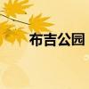 布吉公园 这个“空中公园”完工啦~