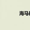 海马福美来新车型基础信息