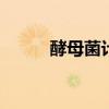 酵母菌计数 微生物细胞数的计数