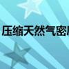 压缩天然气密度 一吨lng气化多少立方天然气