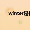 winter是什么意思 In Winter 在冬天