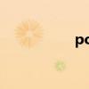pose什么意思(pose)
