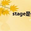 stage是什么意思(stage百度翻译)