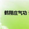 鹤翔庄气功 谈谈我所练习过得鹤翔庄气功